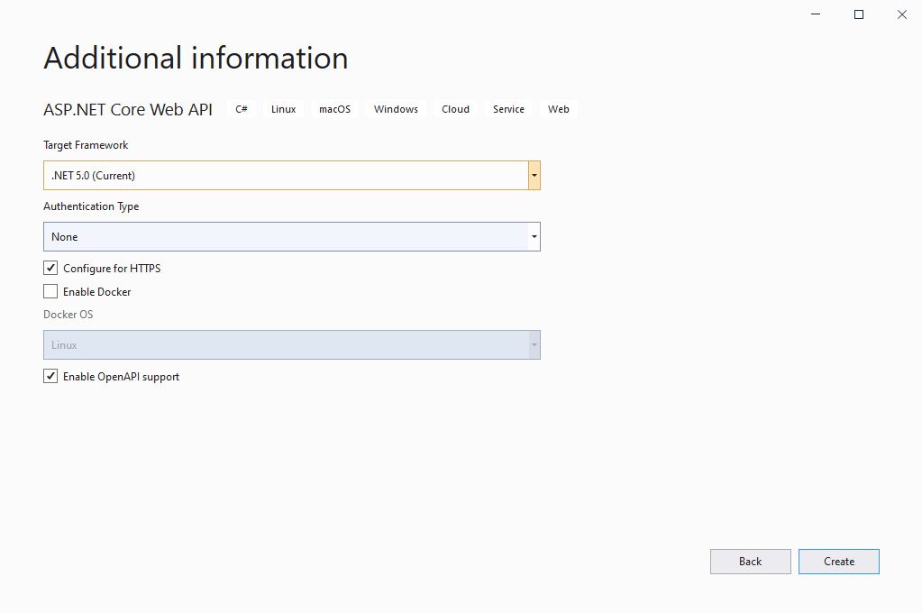 Visual Studio's 'Additional information' dialog with .NET 5.0 selected as the Target Framework.